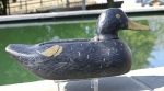 Thumbnail Image: Black Duck Wooden Decoy
