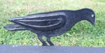 Thumbnail Image: Crow Decoy