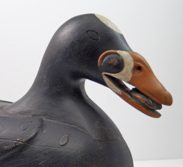 Scoter Mussel in Mouth Carving by Finney