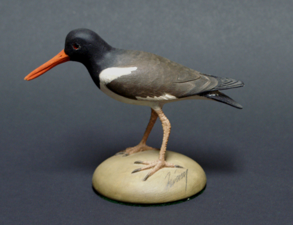 Oyster Catcher Wood Carving by Frank Finney