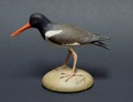 Click to view Oyster Catcher Wood Carving by Frank Finney photos