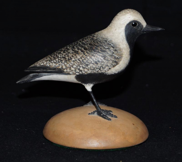 Black Belly Plover Carving by Frank Finney