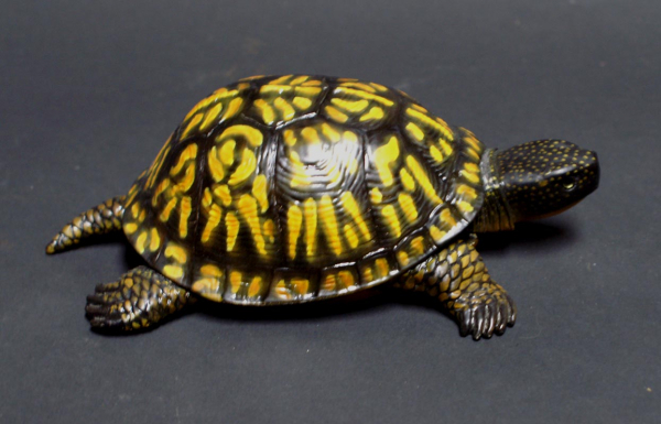 Eastern Box Turtle Carving by Christensen
