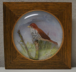Click to view Wood Thrush Carving Diorama by Arthur Peltier photos