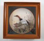 Click to view Canvas Back Duck Diorama by J.Q. Whipple #2 photos