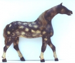 Click to view Dapple Grey Horse photos
