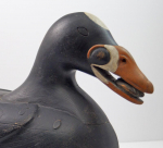 Click to view Scoter Mussel in Mouth Carving by Finney photos