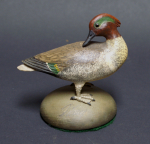 Click to view Cinnamon Teal Duck by Frank Finney photos