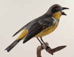 Click to view Life-Size Magnolia Warbler Carving Finney photos